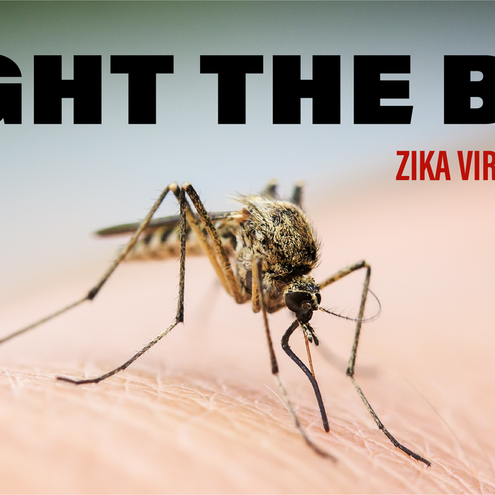 Fight the Bite: Zika Virus Prevention Thumbnail