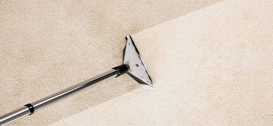 4 Things That Live in Your Carpet Thumbnail