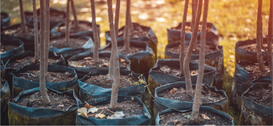 Buy Floor Pads, Plant Trees! Thumbnail