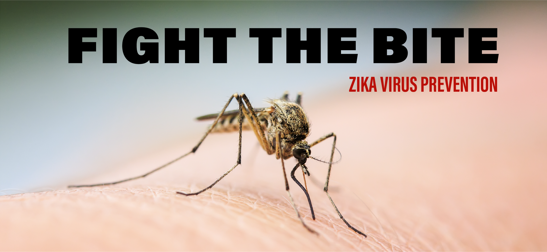 Fight the Bite: Zika Virus Prevention