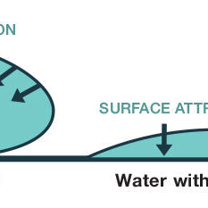 Surfactants and What They Do