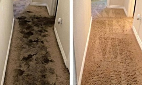 Annual Before & After Picture Contest Thumbnail