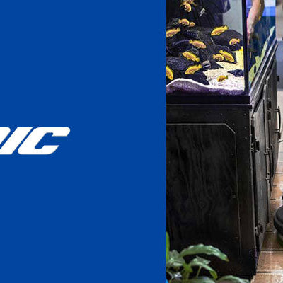 Product Spotlight: EDIC TORO Orbital Scrubber Thumbnail