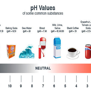 Basic Understanding of pH Thumbnail