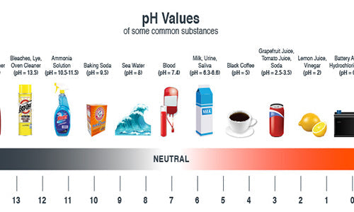 Basic Understanding of pH