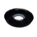 17 inch Prolene Floor Scrubbing Brush (#56505784) for the Advance SC800 34D Automatic Floor Scrubber Thumbnail