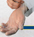 Safety Zone® 3.6 Mil Clear Disposable Vinyl Powdered Gloves In Use