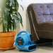 Xpower #P-230AT Mini Air Mover Drying a Wet Carpet