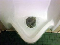 pee pod 45 days