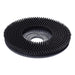 Clarke® CA30™ 20B 20 inch Poly Bristle Floor Scrubbing Brush (bottom)